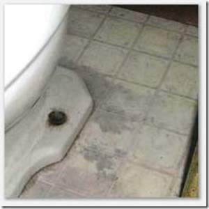 A loose toilet can allow sewer gas to leak into the home and will cause water damage.
